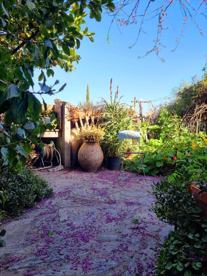 Maison Chaleureuse Au Coeur Des Aspres Camelas